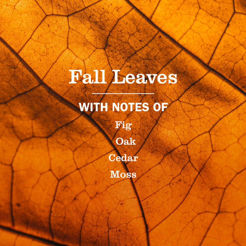 Mrs. Meyer's Fall Leaves Liquid Hand Soap 3-count Bundle 