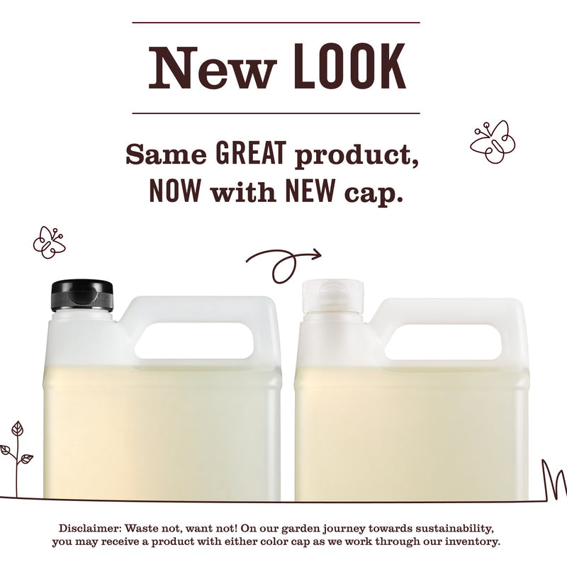 Mrs. Meyer's Peony Dish Soap Refill